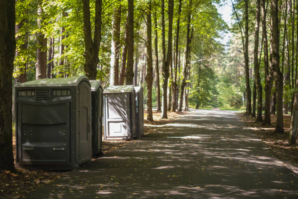 Best High-end porta potty rental  in Leona Valley, CA